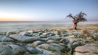 Makgadikgadi Pans In Botswana Makgadikgadi Pans In Botswana