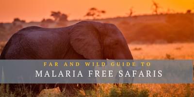 Malaria Free Safari