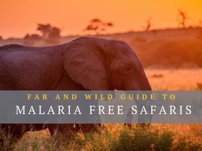 Malaria Free Safari