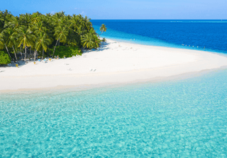 Maldives Canva Pro Maldives Canva Pro