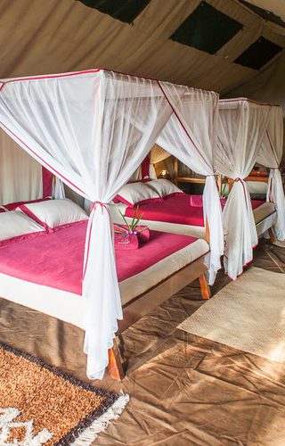 Mandrare River Camp Twin Room Mandrare River Camp Twin Room