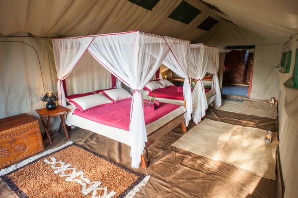 Mandrare River Camp Twin Room Mandrare River Camp Twin Room