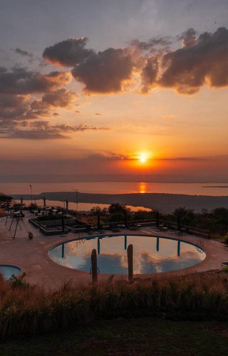 Mantis Akagera hero Mantis Akagera hero