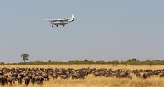 Mara Air Safari