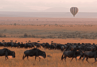 Masai Mara Kenya Canva Pro Masai Mara Kenya Canva Pro