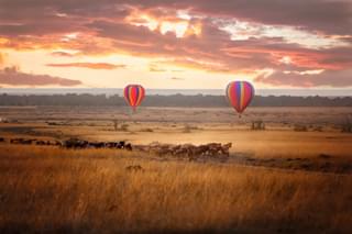 Masai Mara Hot Air Ballooning Copy