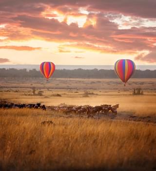 Masai Mara Hot Air Ballooning Copy
