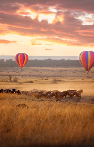 Masai Mara Hot Air Ballooning