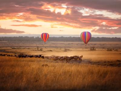 Masai Mara Hot Air Ballooning