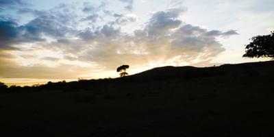 Masai Mara Sunrise