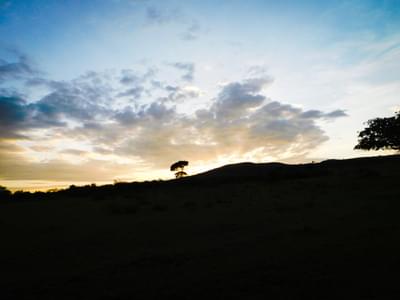 Masai Mara Sunrise