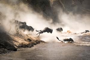 Masai  Mara Wildebeest Migration
