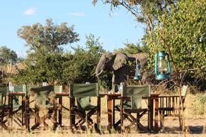 Mdonya  Old  River  Camp  Dining