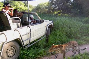 Mdonya Old River Camp Game Drive Mdonya Old River Camp Game Drive