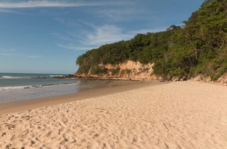 Surfing beach Brazil Surfing beach Brazil