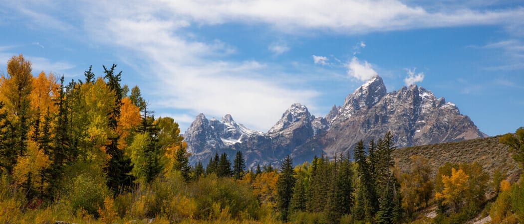 Medium RGB NAT HAB yelpb 09 19 24 susan United States Mountain