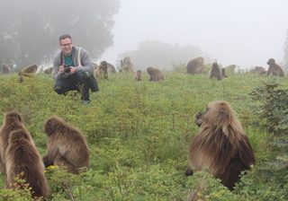 Meeting The Geladas Of The Simien Mountains Meeting The Geladas Of The Simien Mountains