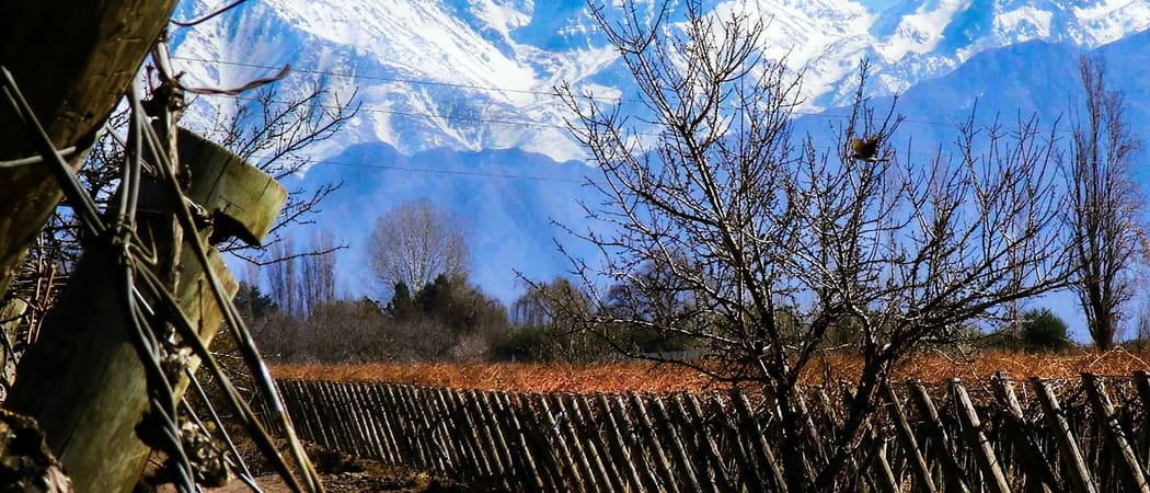 Mendoza Argentina2
