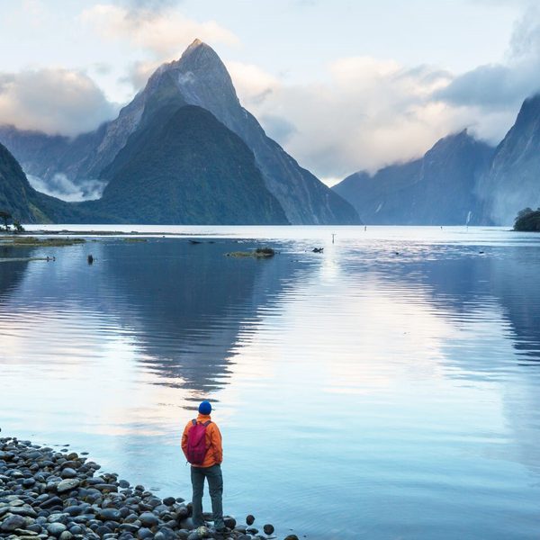 Milford sound new zealand canva pro