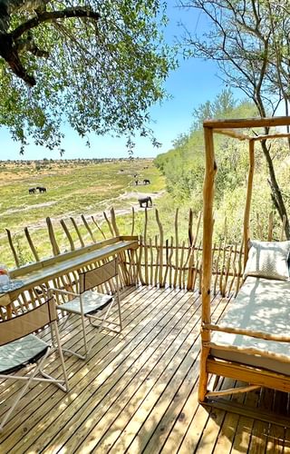 Moela Botswana Okavango Wetu7 Moela Botswana Okavango Wetu7