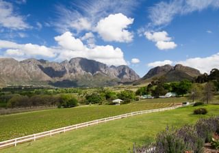 Mont Rochelle Vineyard Views Mont Rochelle Vineyard Views