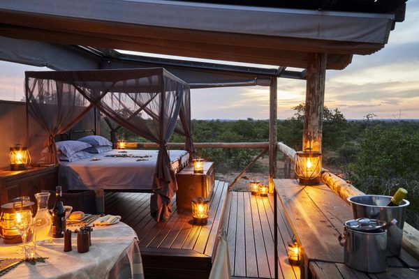 Motswari Private Game Reserve Giraffe s Nest Motswari Private Game Reserve Giraffe s Nest