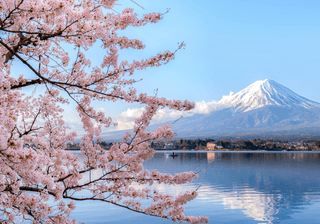 Mount fuji at Lake kawaguchiko with cherry blossom in Yamanashi near Tokyo Japan Canva Pro Mount fuji at Lake kawaguchiko with cherry blossom in Yamanashi near Tokyo Japan Canva Pro