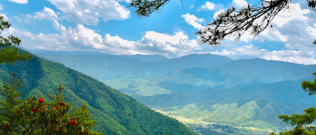 Mountain view Paro B Hutan min