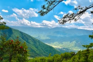 Mountain view Paro B Hutan min Mountain view Paro B Hutan min