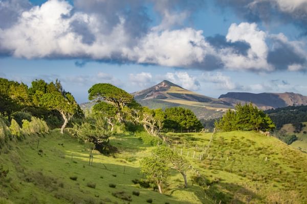Mountain view St Helena Mountain view St Helena