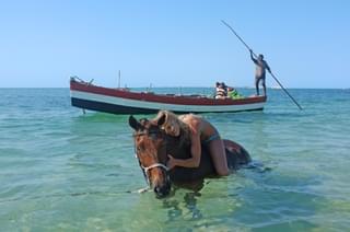 Mozambique Horse Safaris Fun In The Sea