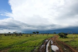 Muddy Roads Masai Mara Muddy Roads Masai Mara