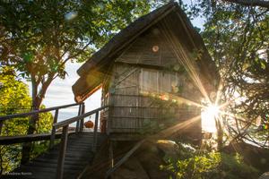 Mumbo Island Bunglow Mumbo Island Bunglow