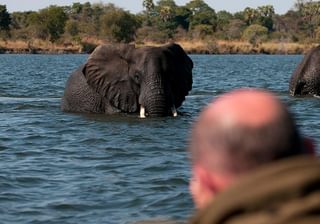 Musekese Bush Camp Boat Safari Musekese Bush Camp Boat Safari