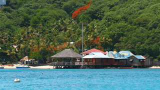 Mustique Island Britannia Bay St Vincent and The Grenadines Canva Pro Mustique Island Britannia Bay St Vincent and The Grenadines Canva Pro