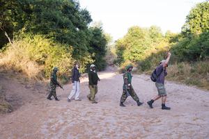 Mvuu Lodge Rhino Tracking Experience Mvuu Lodge Rhino Tracking Experience