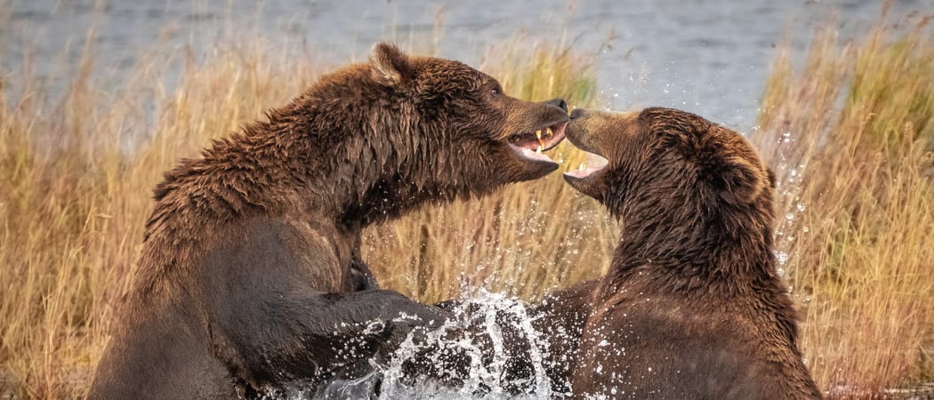 NAT HAB alpp 09 24 22 tim anderson Alaska