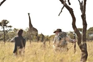 Naboisho Spotting A Giraffe On Walking Safari