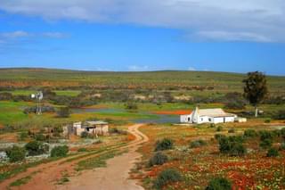 Namaqualand Scenery