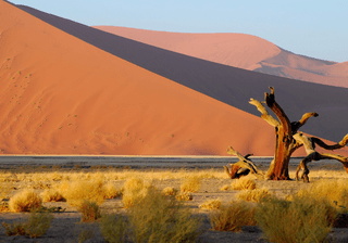 Namibia Desert Canva Pro Namibia Desert Canva Pro