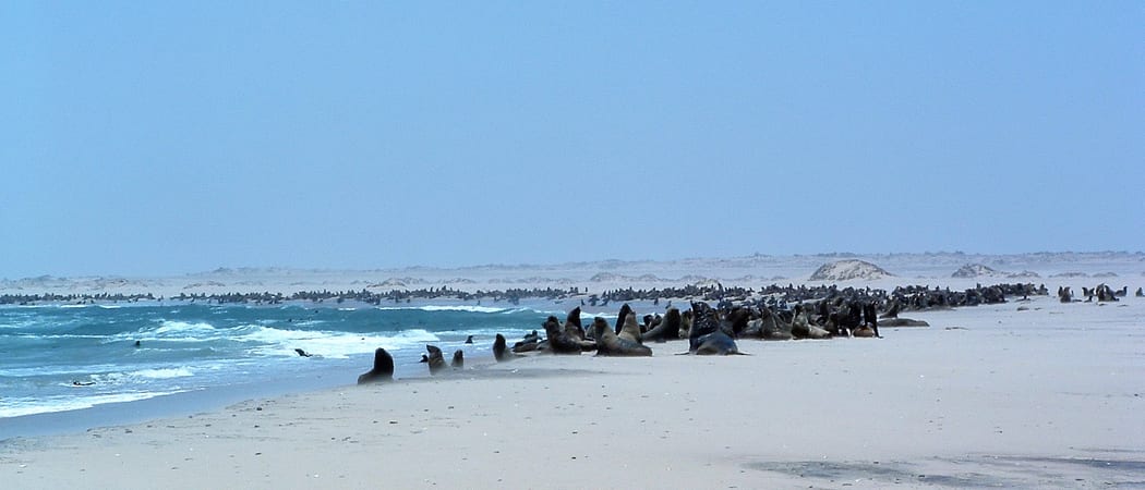 Namibia Skeleton Coast