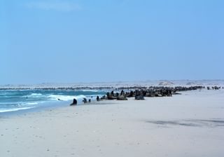 Namibia Skeleton Coast Namibia Skeleton Coast