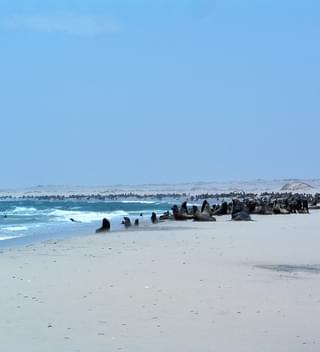Namibia Skeleton Coast 