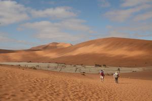 Exploring the Sossusvlei Dunes