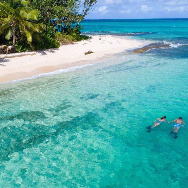 Nanuku resort fiji pacific harbour snorkelling experience couple jpg