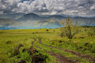 Nechisar National Park Near Arba Minch In Ethiopia