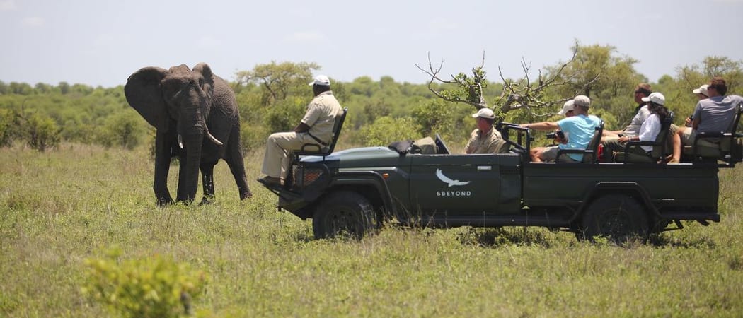 Ngala Safari Lodge Game Drive 1
