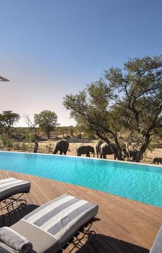 Ngala Safari Lodge Swimming Pool