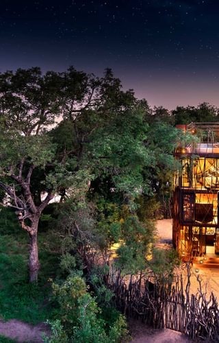 Ngala Tree House South Africa Kruger Beyond Website1 Ngala Tree House South Africa Kruger Beyond Website1
