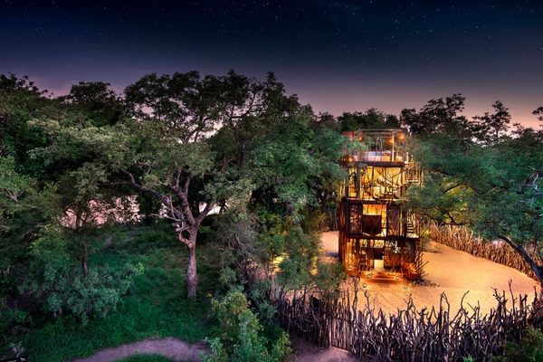 Ngala Tree House South Africa Kruger Beyond Website1 Ngala Tree House South Africa Kruger Beyond Website1